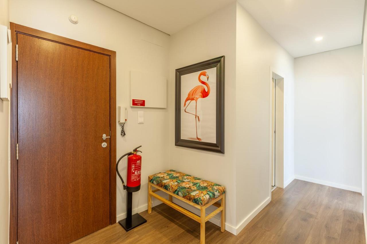 Flamingo Apartment In City Center - Minho'S Guest Braga Buitenkant foto
